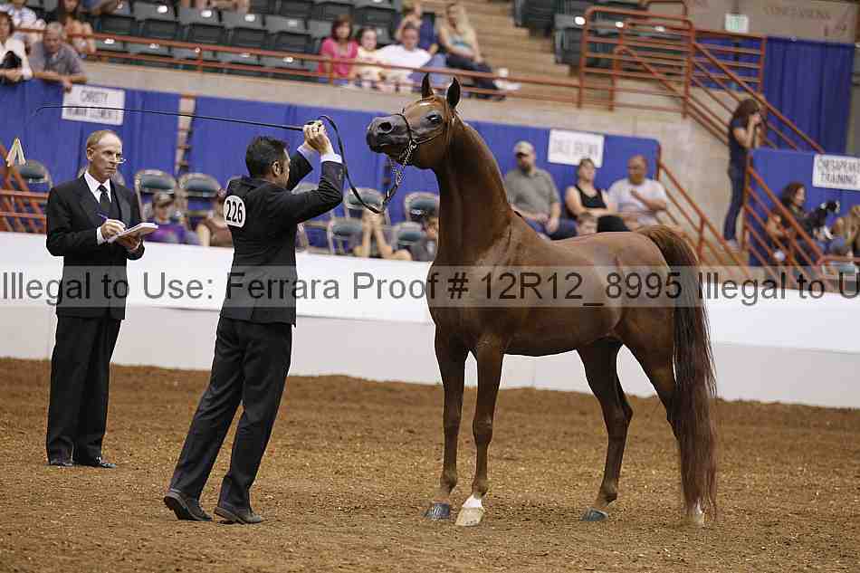 Proof Number 12r12_8995