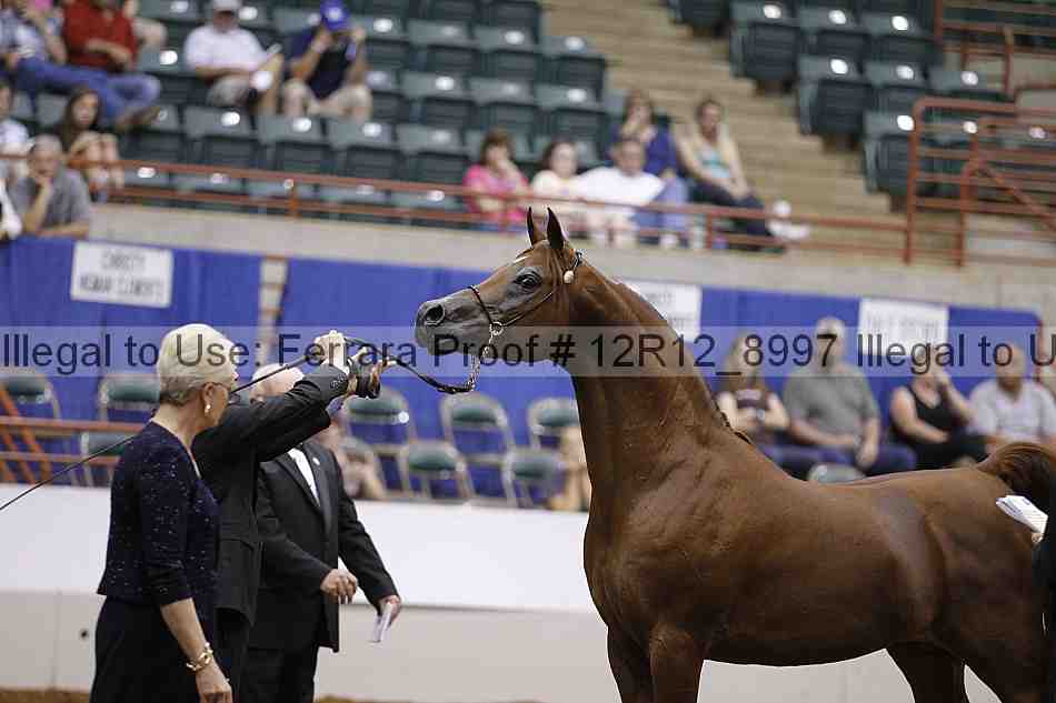 Proof Number 12r12_8997