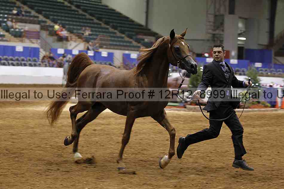 Proof Number 12r12_8999