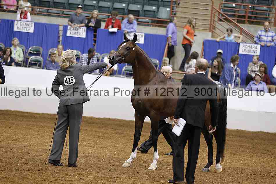 Proof Number 12r12_9001