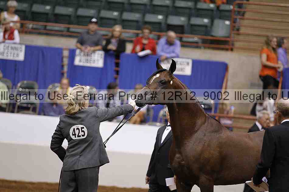 Proof Number 12r12_9002