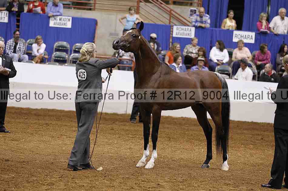 Proof Number 12r12_9004
