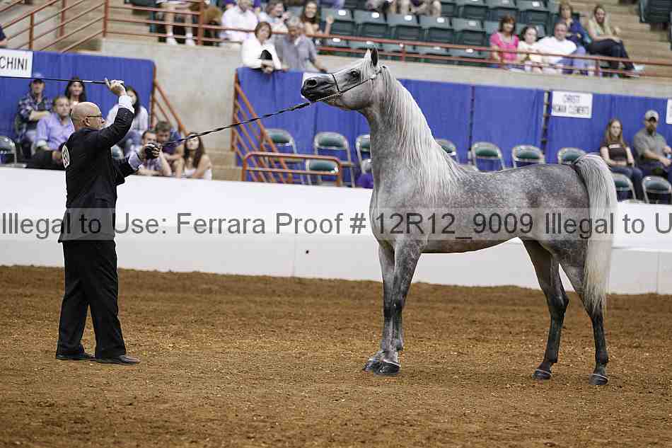 Proof Number 12r12_9009