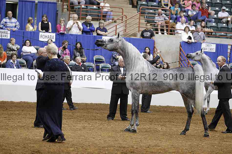 Proof Number 12r12_9010