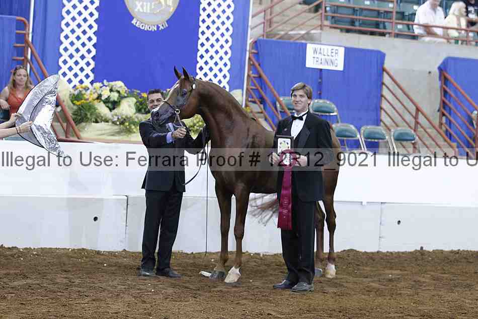 Proof Number 12r12_9021