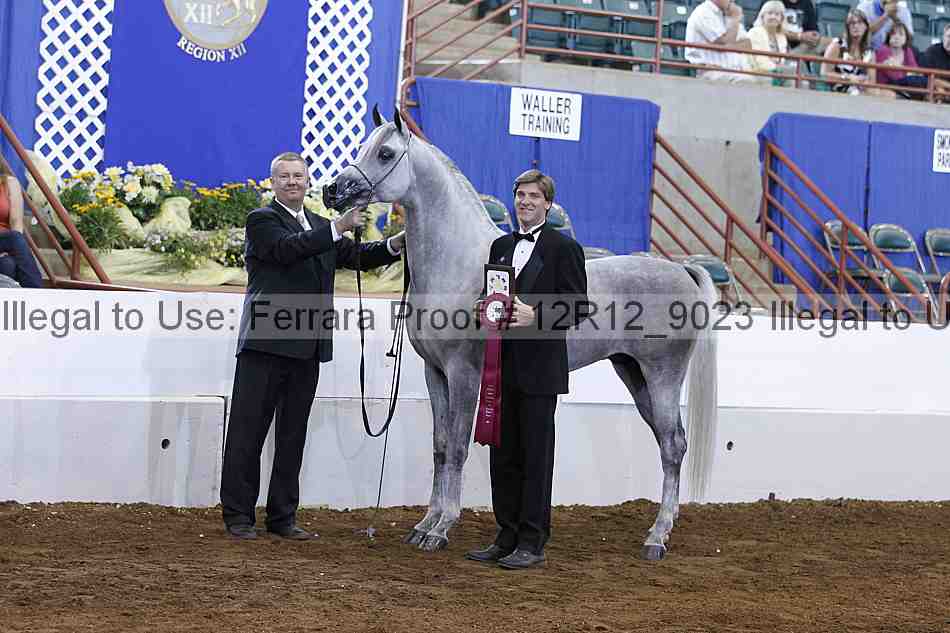 Proof Number 12r12_9023
