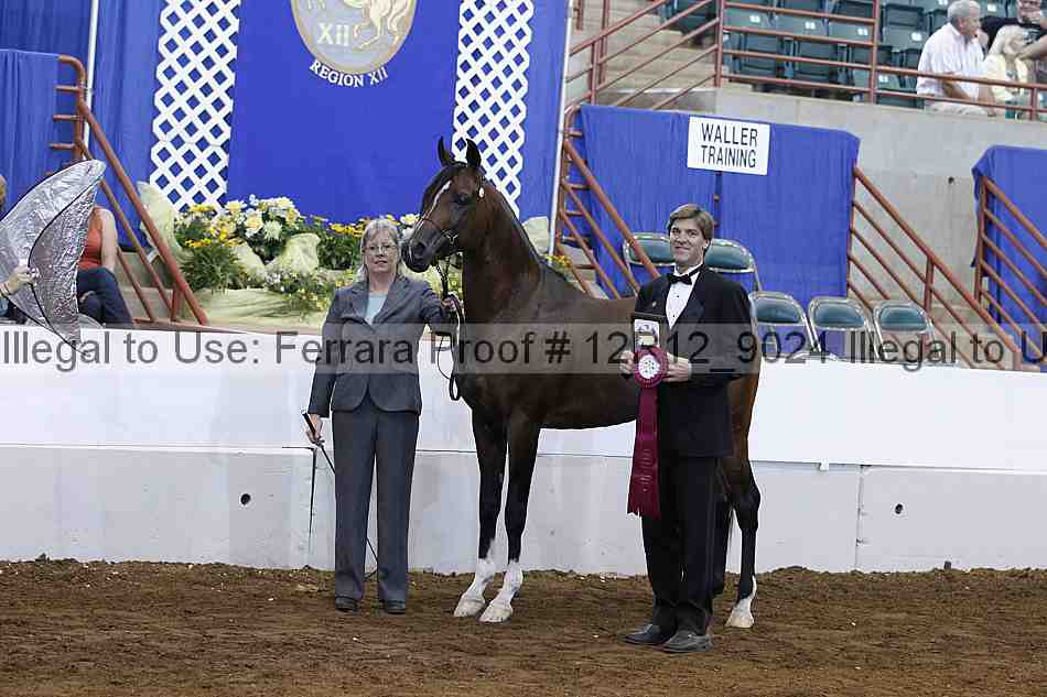 Proof Number 12r12_9024