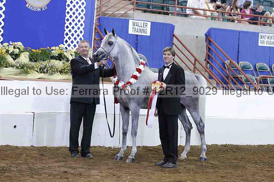 Proof Number 12r12_9029
