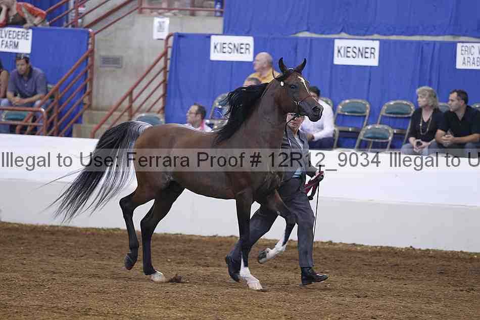 Proof Number 12r12_9034