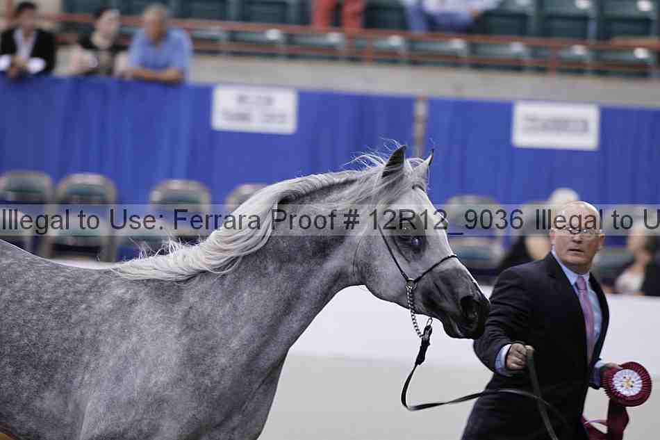 Proof Number 12r12_9036