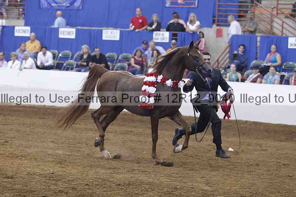 Proof Number 12r12_9040