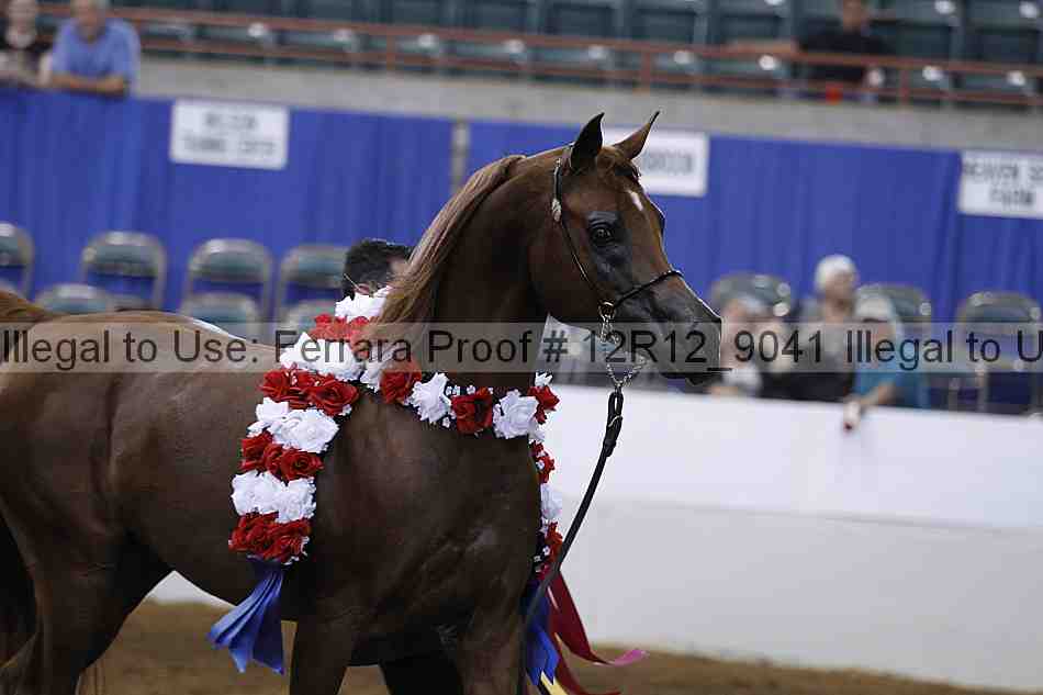 Proof Number 12r12_9041