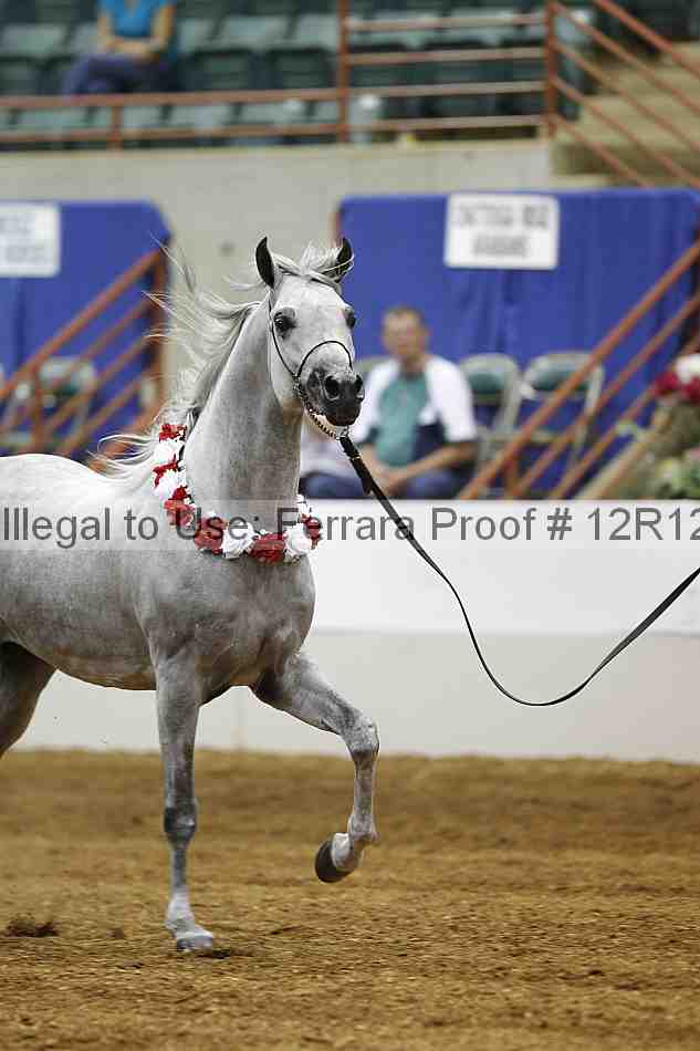 Proof Number 12r12_9043
