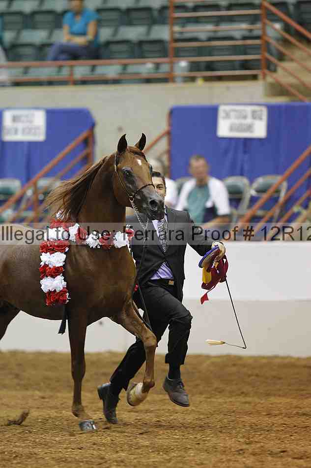Proof Number 12r12_9044