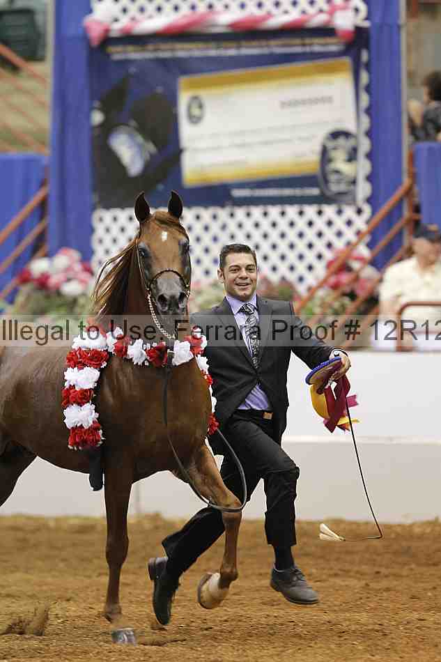 Proof Number 12r12_9045