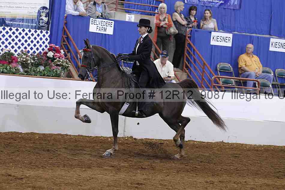 Proof Number 12r12_9087