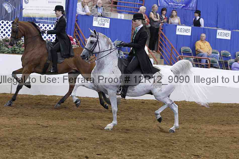 Proof Number 12r12_9090