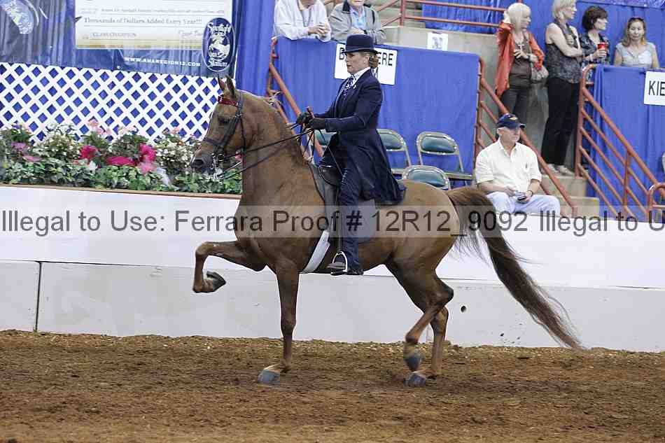 Proof Number 12r12_9092