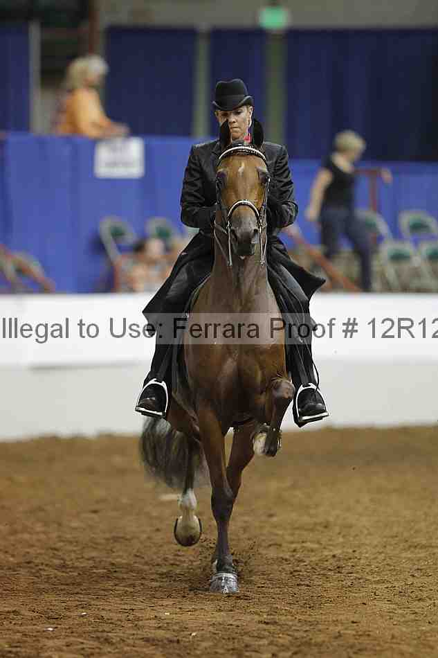 Proof Number 12r12_9093