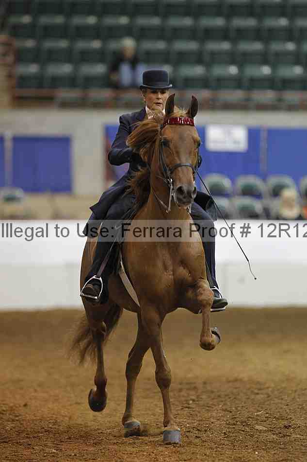 Proof Number 12r12_9095