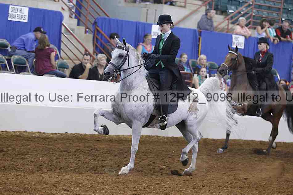 Proof Number 12r12_9096