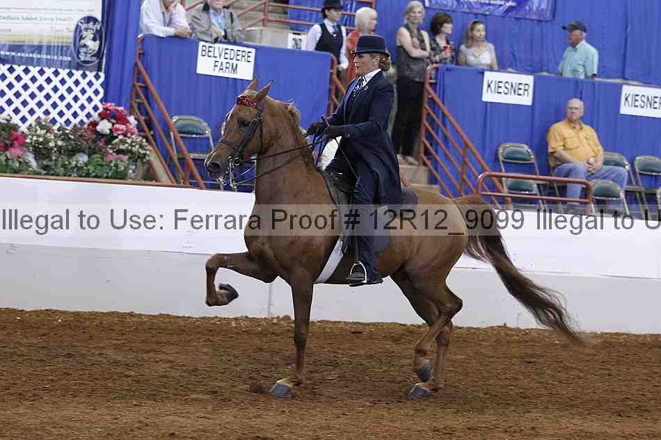 Proof Number 12r12_9099