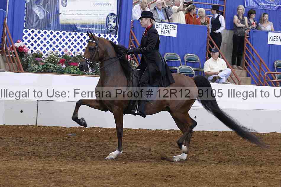 Proof Number 12r12_9105