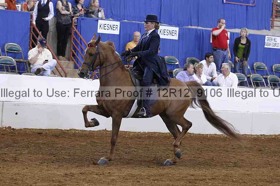 Proof Number 12r12_9106