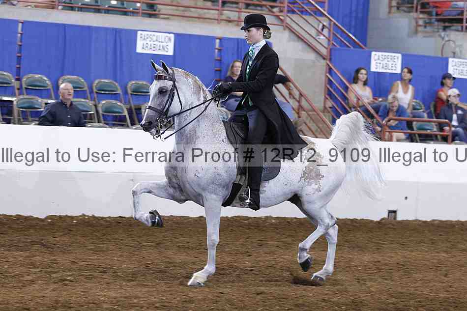 Proof Number 12r12_9109