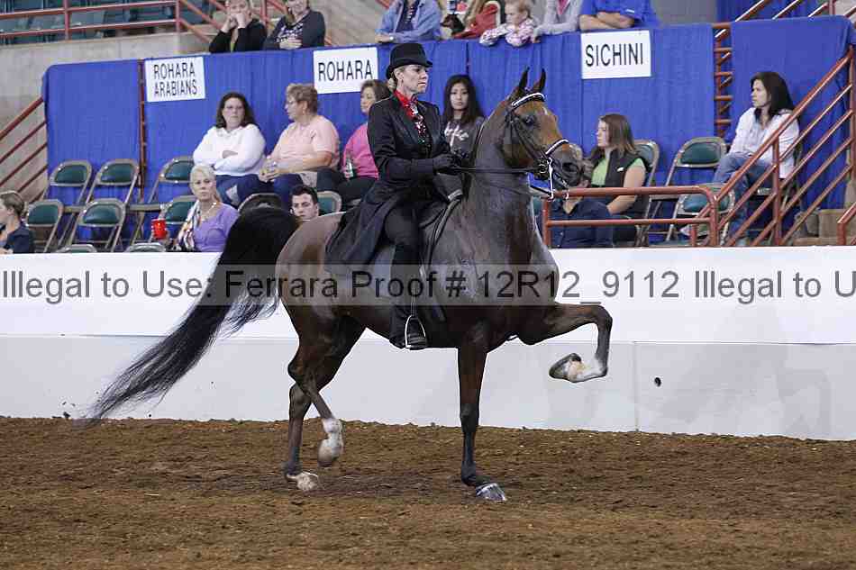 Proof Number 12r12_9112
