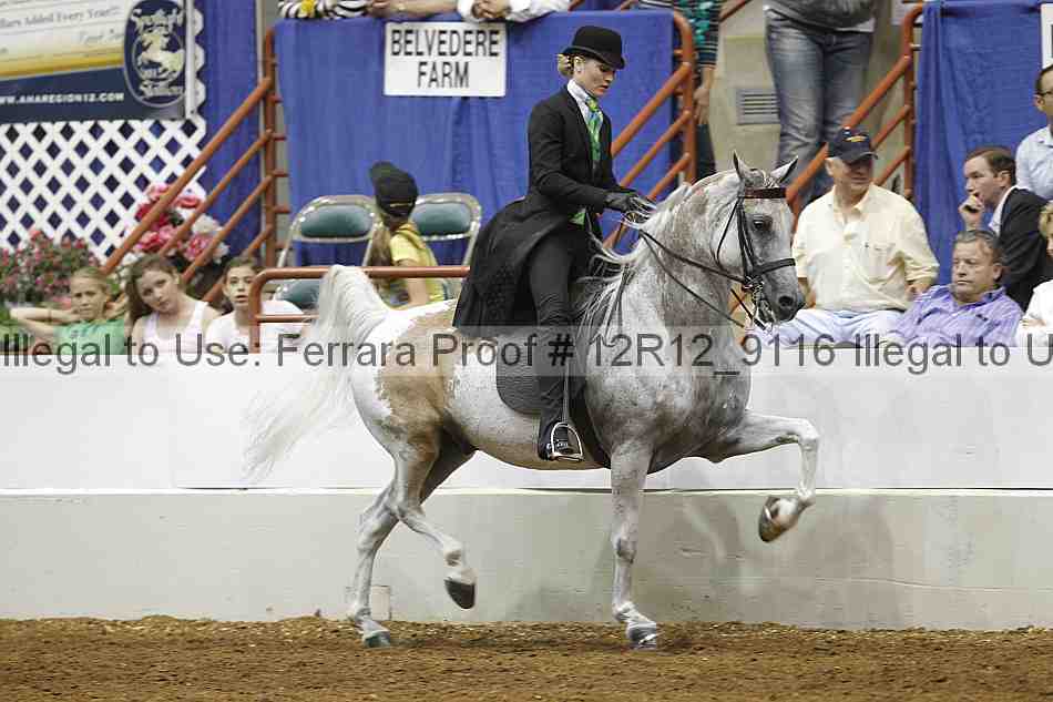 Proof Number 12r12_9116