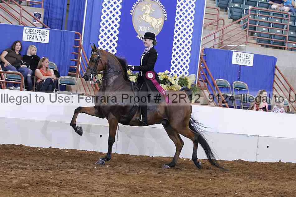 Proof Number 12r12_9124