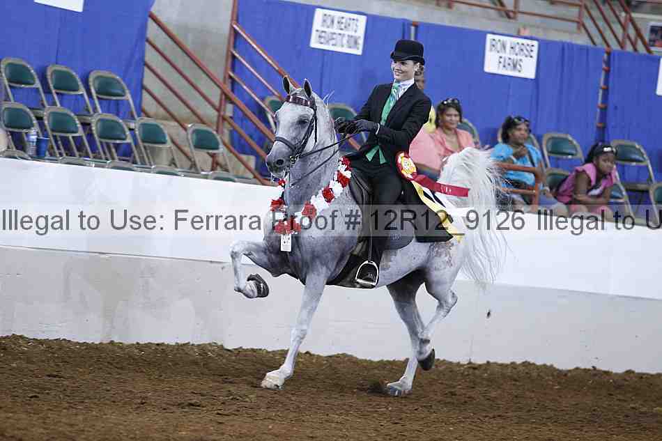 Proof Number 12r12_9126
