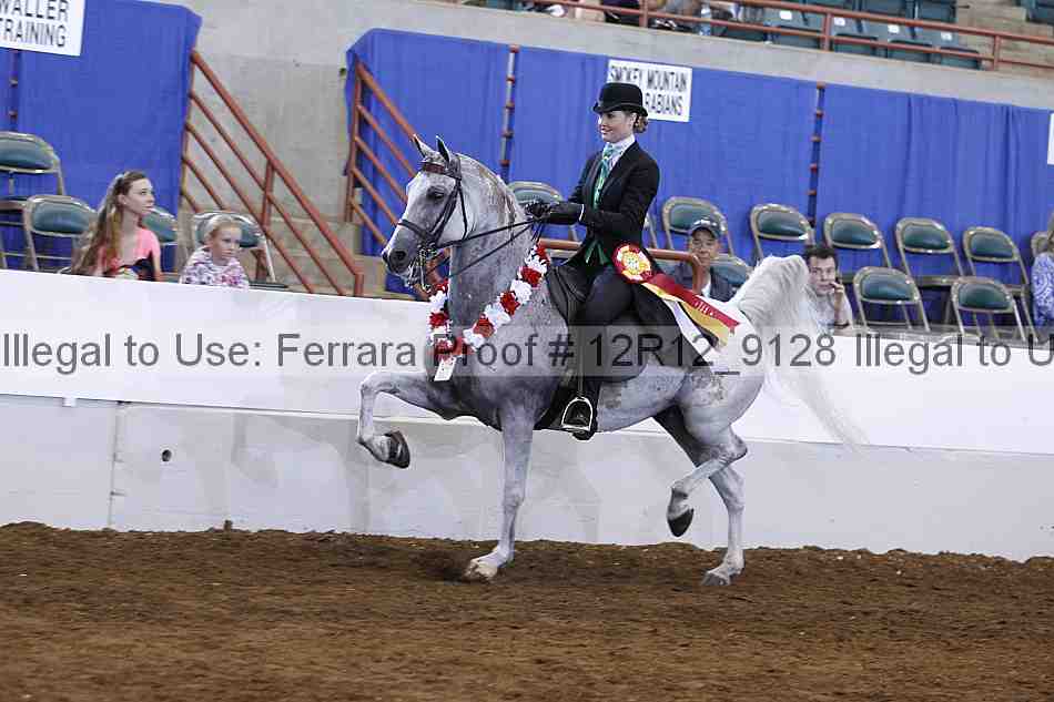 Proof Number 12r12_9128