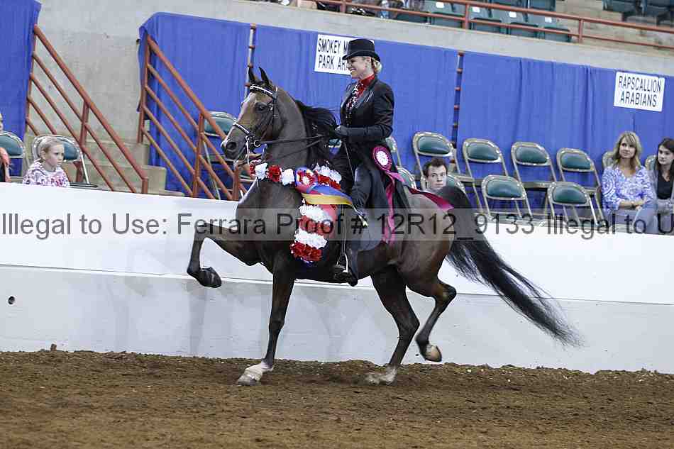 Proof Number 12r12_9133