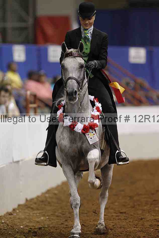 Proof Number 12r12_9136