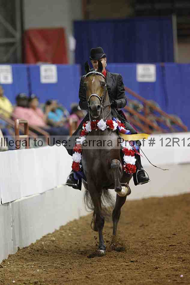 Proof Number 12r12_9137