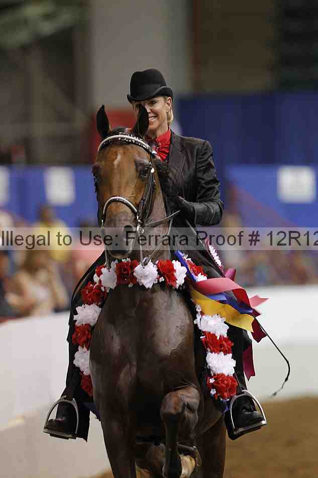 Proof Number 12r12_9139