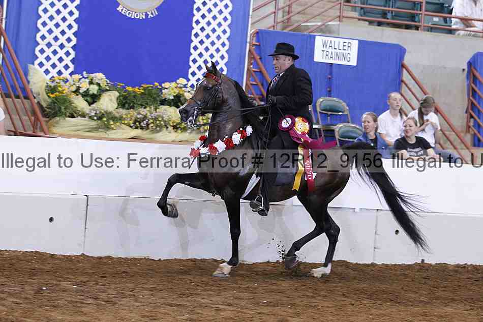 Proof Number 12r12_9156