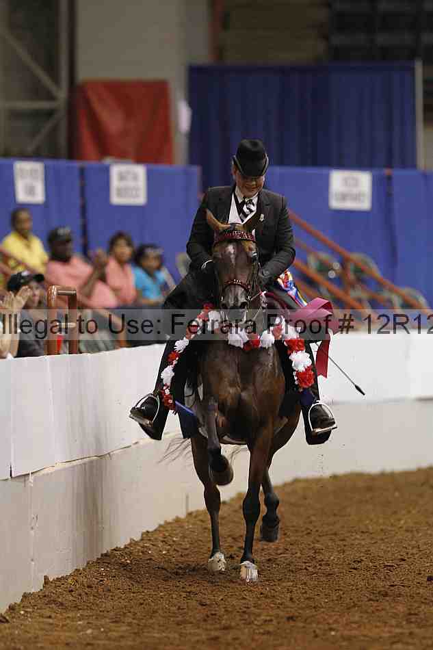 Proof Number 12r12_9165