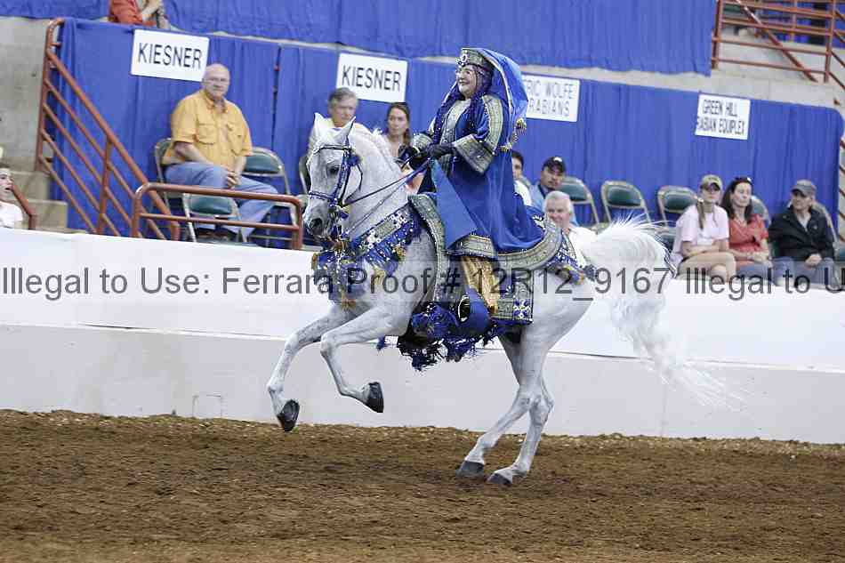 Proof Number 12r12_9167