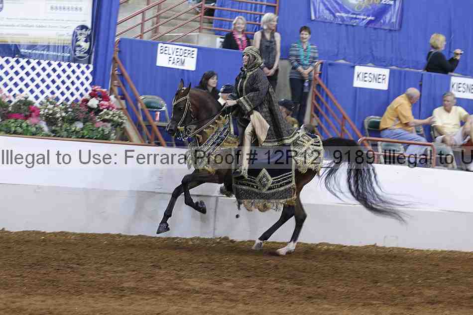 Proof Number 12r12_9189