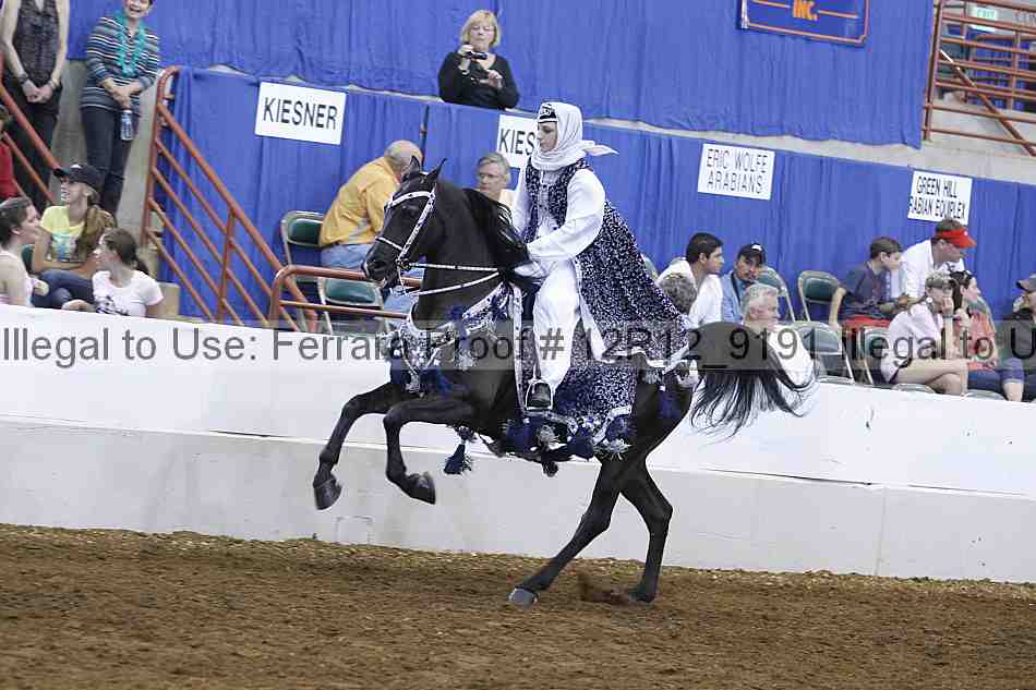 Proof Number 12r12_9191