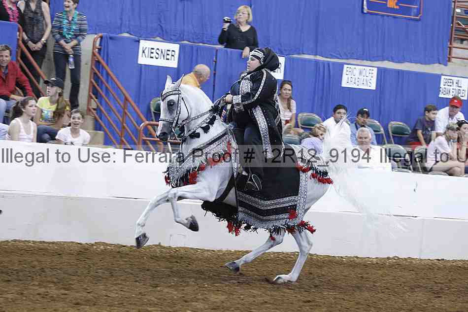 Proof Number 12r12_9194