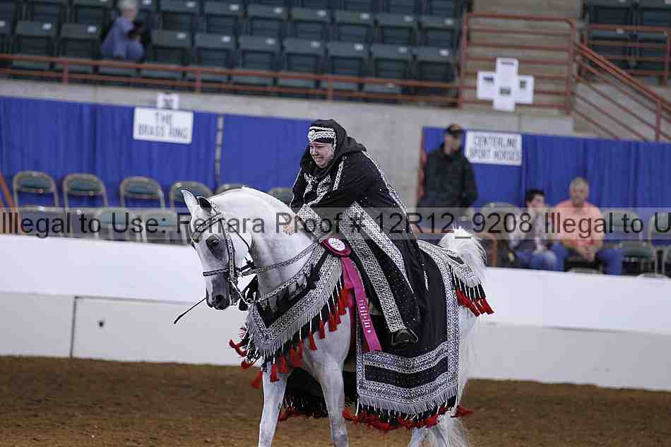 Proof Number 12r12_9208