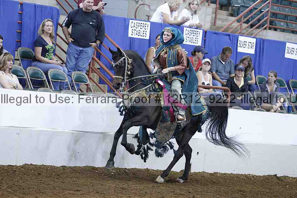 Proof Number 12r12_9222