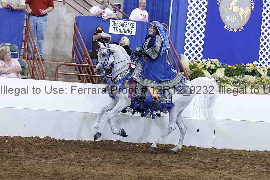 Proof Number 12r12_9232