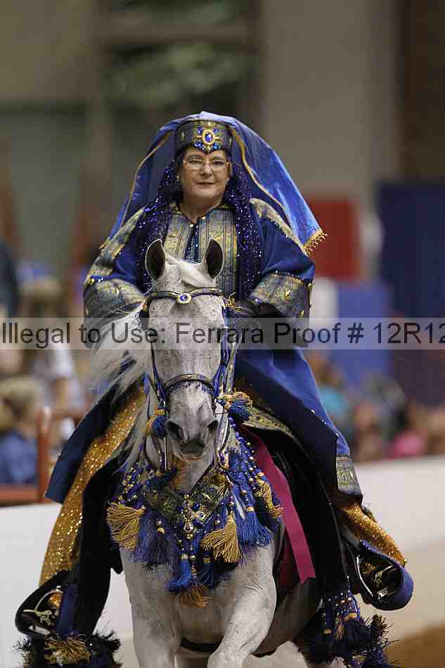 Proof Number 12r12_9243