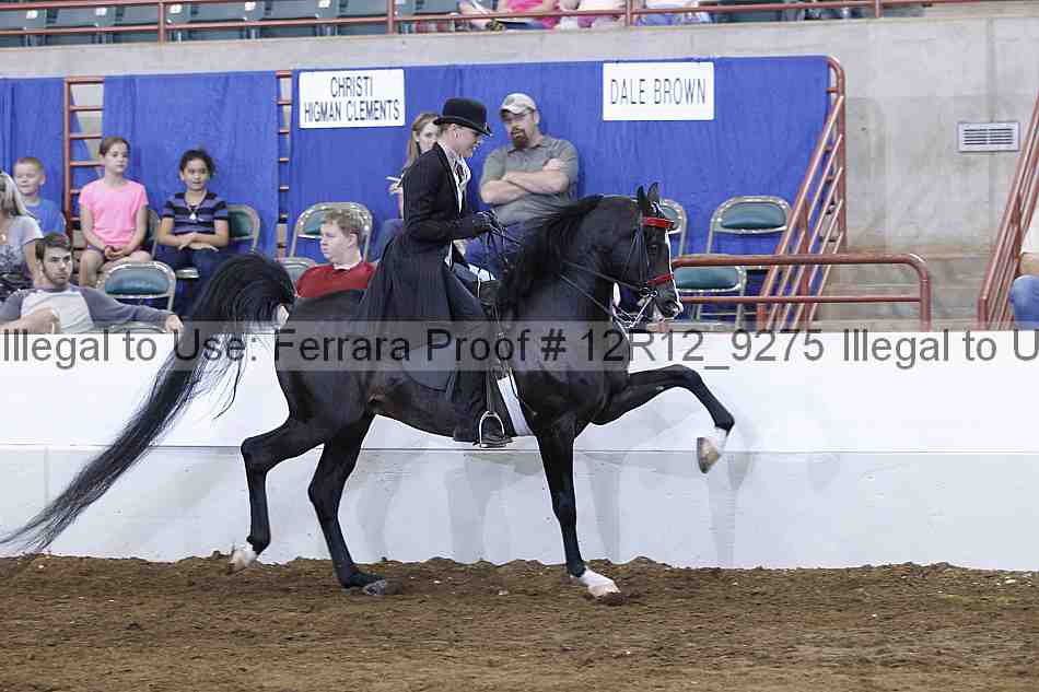 Proof Number 12r12_9275