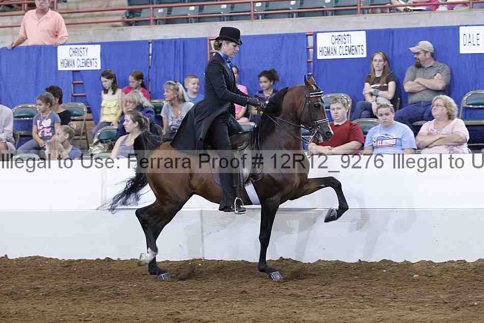 Proof Number 12r12_9276